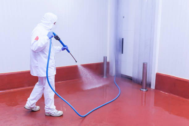 Best Rust and Stain Removal in Enochville, NC