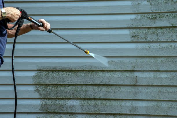 Best Driveway Cleaning and Restoration in Enochville, NC
